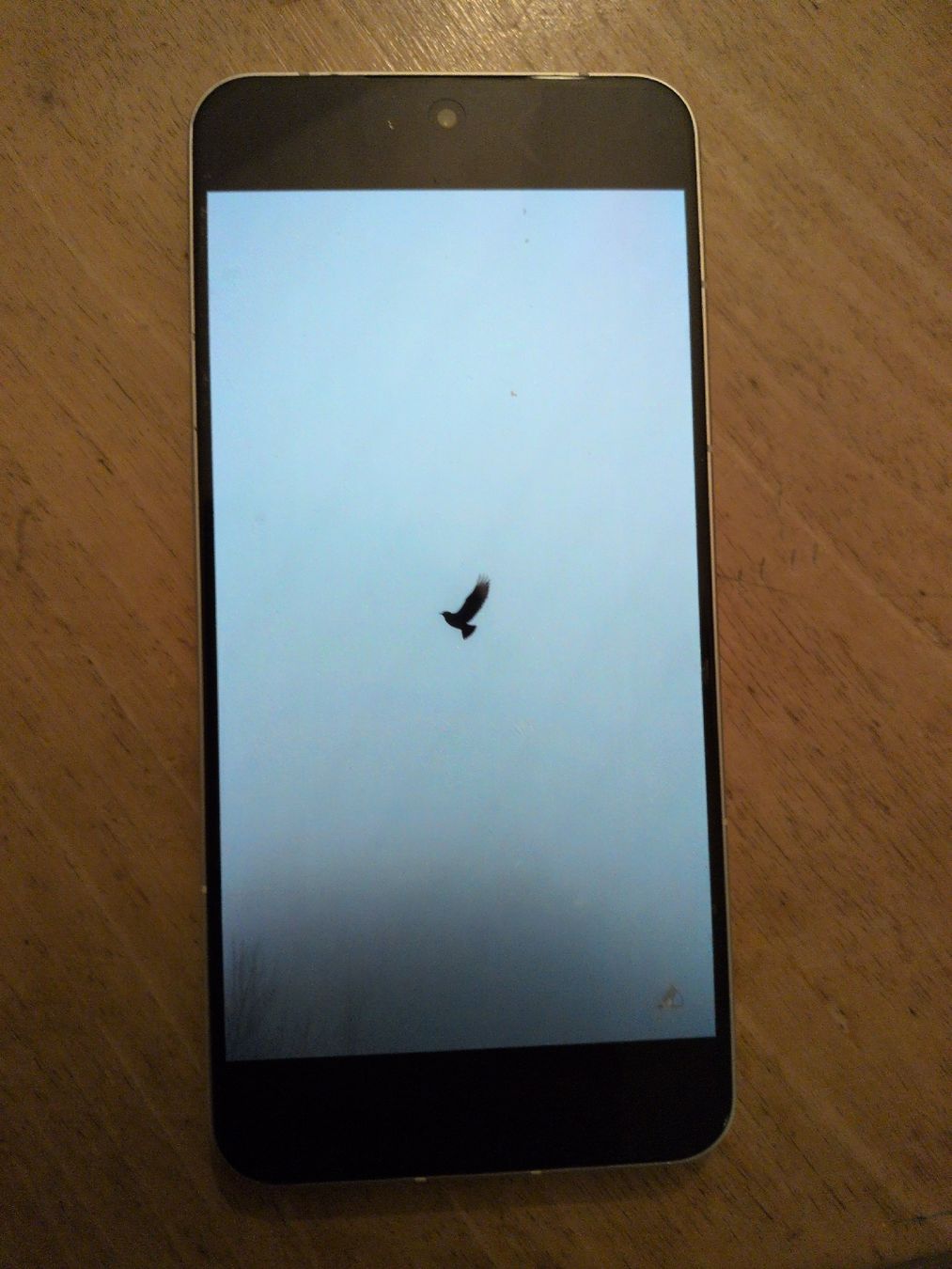 Nothing Telefoni cellulari / Smartphones: Nothing Phone (3) – Nuovo (secondo la descrizione) da Couvet venduto da Milo_wow 3