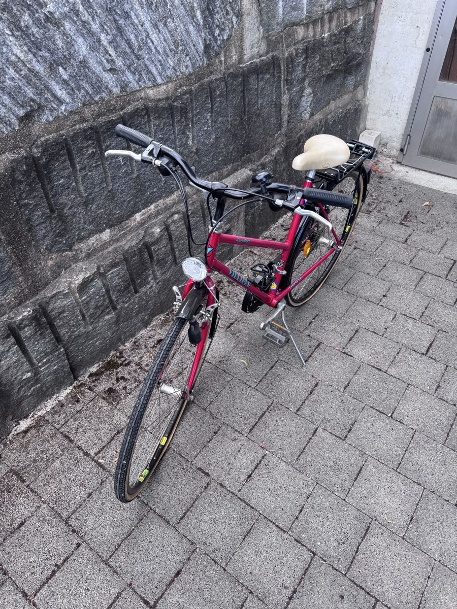 Biciclette: Damenvelo Villiger – Difettoso da Doppleschwand venduto da Denos 2