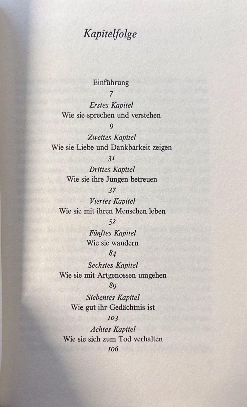 Libri: Epton Nina, Meine Katze hat einmal... – Nuovo (secondo la descrizione) da Sarnen venduto da Livres 4