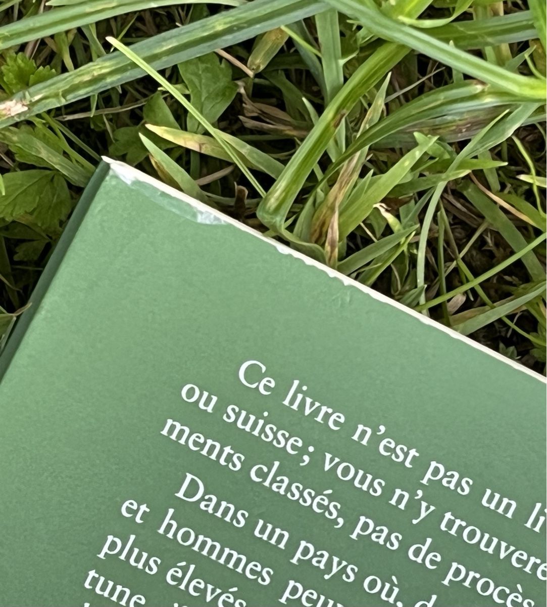 Libri: Livre "Pas perdus" d'Eric Rochat, éditions de l'Aire – Usato da La Tour-de-Peilz venduto da Pansy02 9