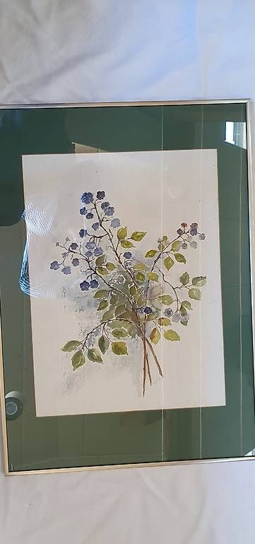 Foto & Immagini: Blumenbild von Rosmarie Steffen – Usato da Basel venduto da storchenricardo 1
