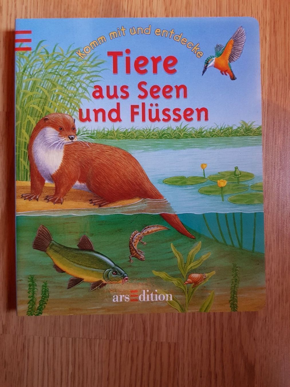 Libri: Buch Tiere aus Seen und Flüssen – Nuovo e nell'imballaggio originale da Schwarzenburg venduto da Flamingo07