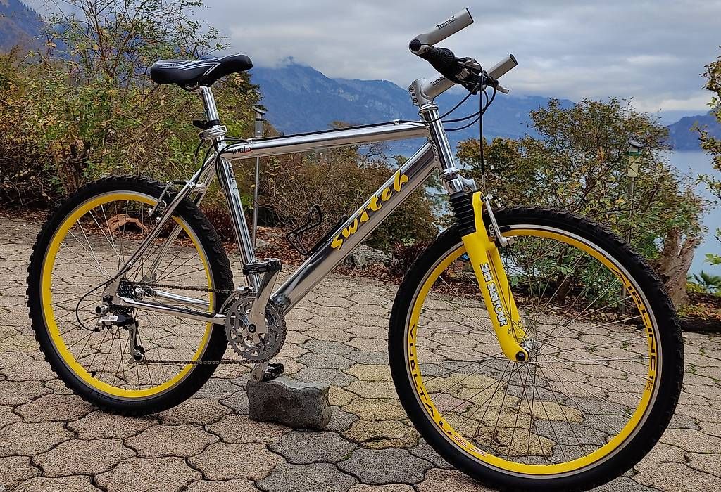 Biciclette: Mountainbike Switch Alupol – Usato da Oberried Brienz venduto da kurs57