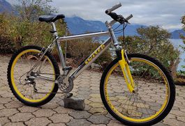 Mountainbike Switch Alupol