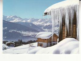 Crans 1991