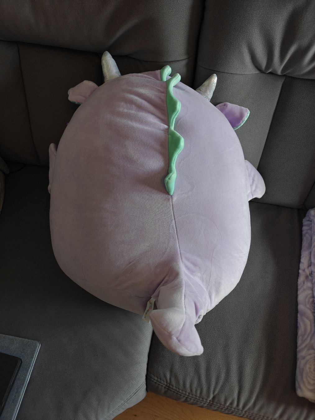 Squishmallows Giocattoli: Squishmallow Drow der Drache – Nuovo (secondo la descrizione) da Neuhausen venduto da rei_h8dn 1