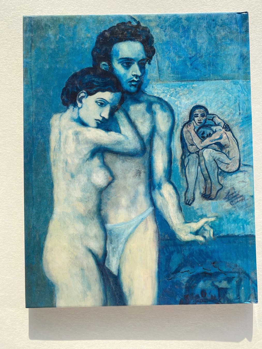 Libri: Der junge Picasso - Blau & Rosa Periode - Kunstbuch – Usato da Zürich venduto da lesgarcons