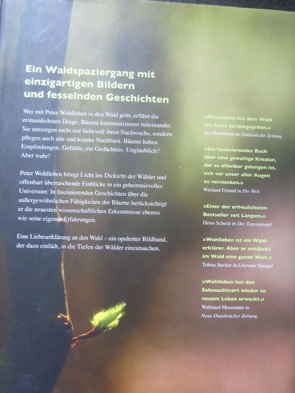Bücher: Das geheime Leben der Bäume  - Peter Wohlleben – Gebraucht aus Seengen von  9