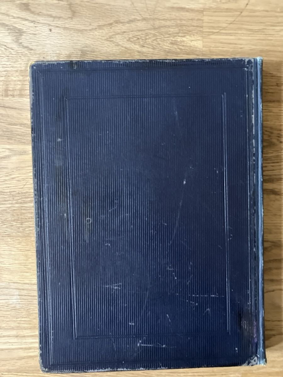 Libri: Das Neue Testament mit 97 Bildern 1899 – Usato da Aesch BL venduto da Vondenbienen 2