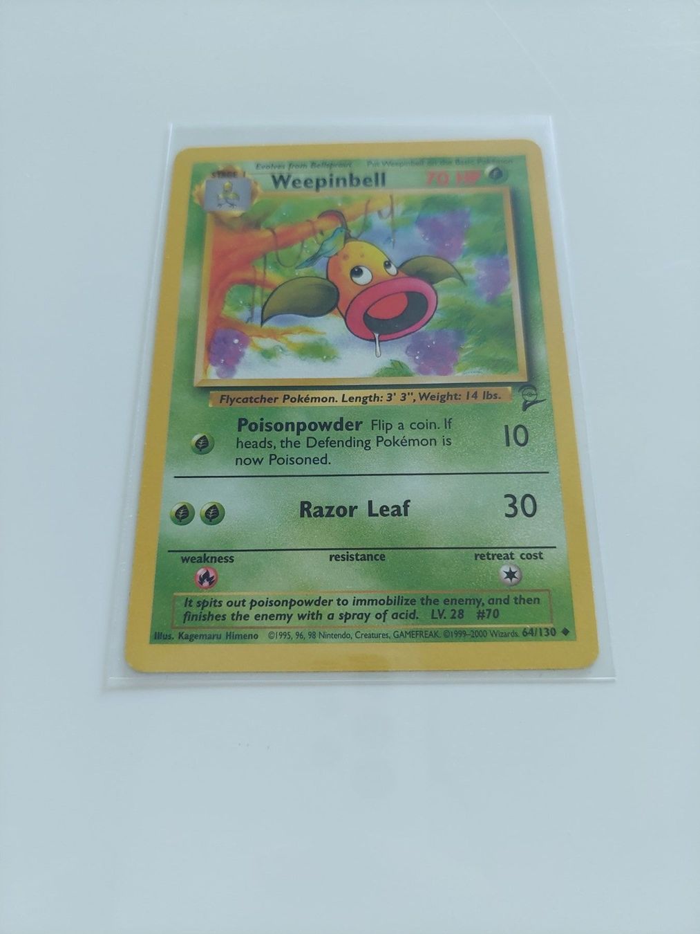 Cartoline: Weepinbell – Nuovo (secondo la descrizione) da Köniz venduto da Pokecollect
