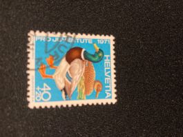 Stockente ZNr. J239- 1971 Stempel Chur