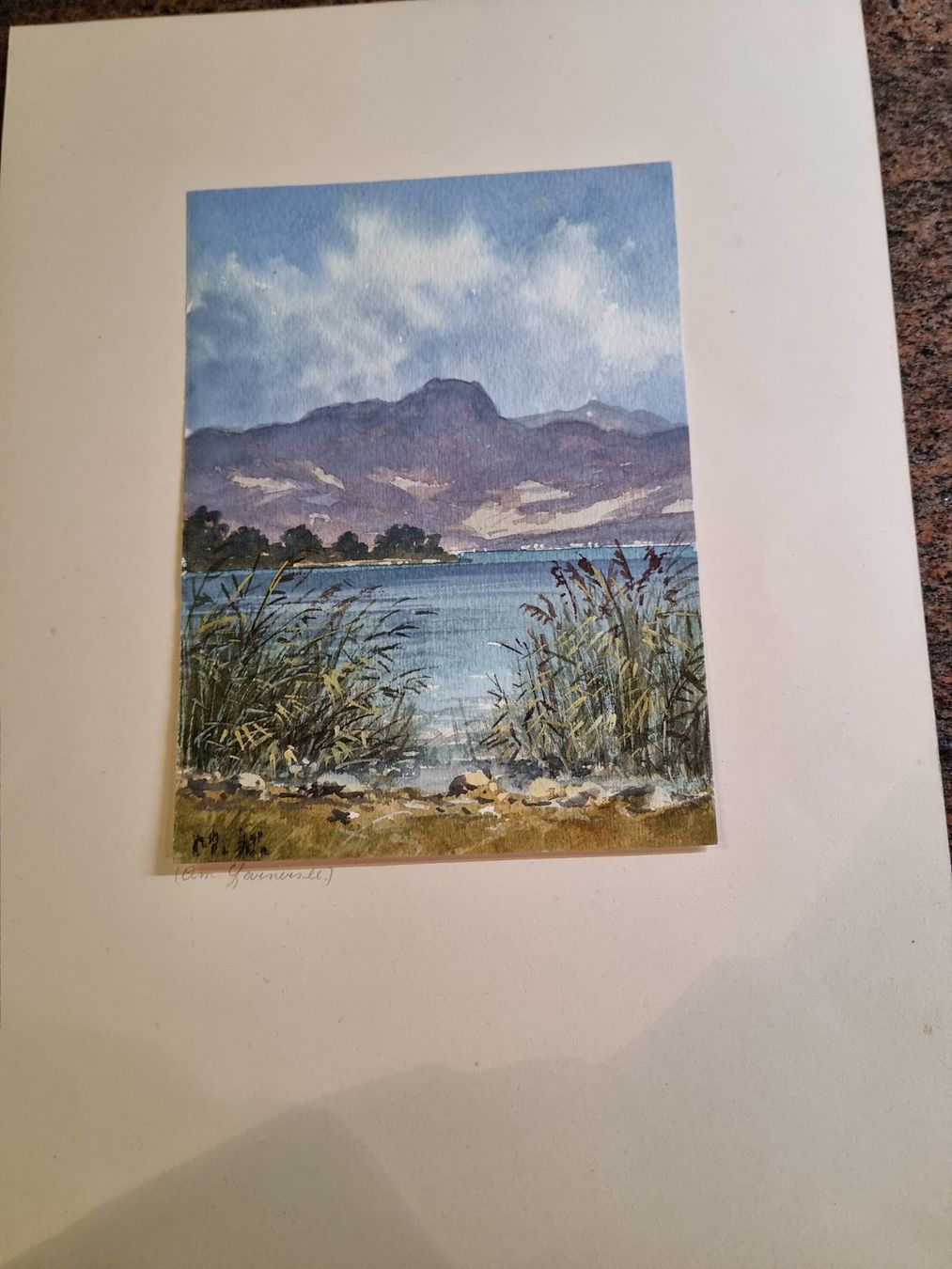 Dipinti: Aquarell  M.K Sarnersee TOP – Usato da Trachslau venduto da post35