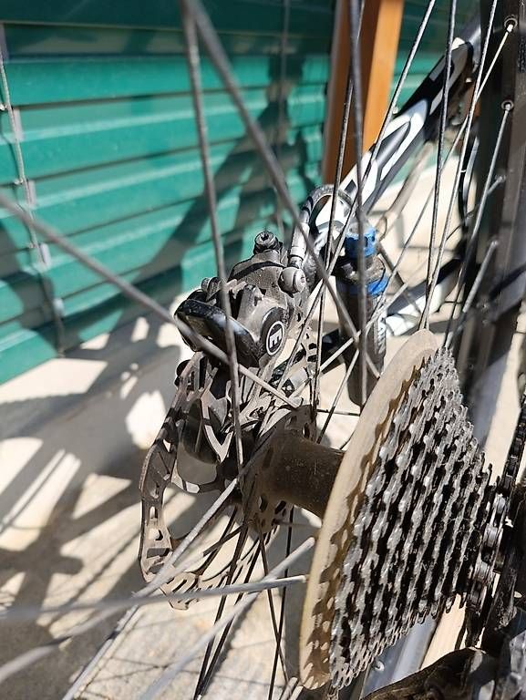 Specialized Biciclette: Specialized Carbon Mountainbike L – Usato da Zürich venduto da study.books 5