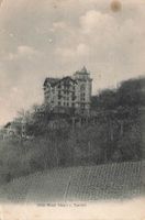Territet (Montreux VD) – Hôtel Mont Fleuri