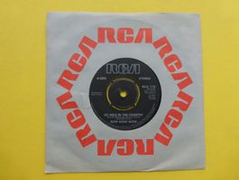 Bow Wow Wow – Go Wild In The Country