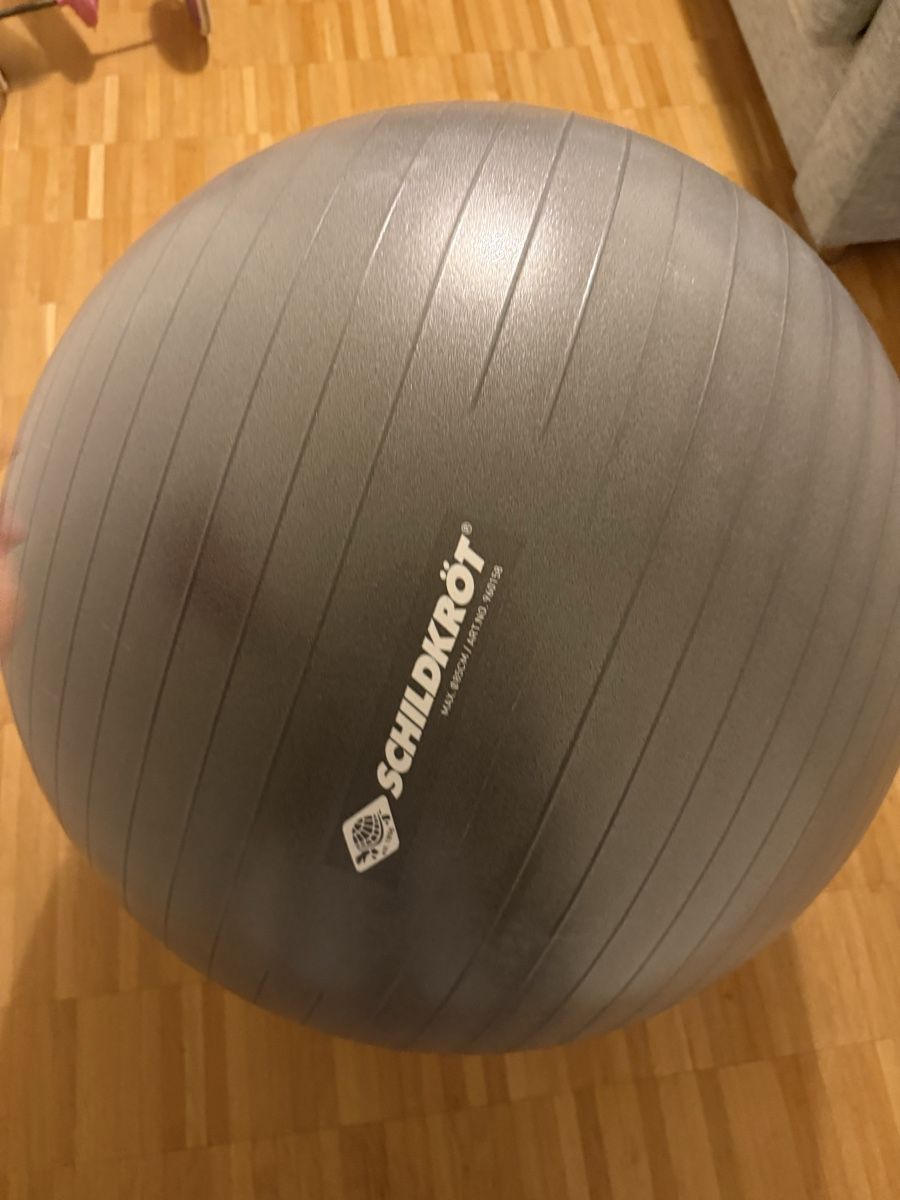 Palloni: Schildkröt Exercise Ball 85cm – Usato da Kaiseraugst venduto da ong_g2f8