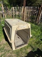 Sky Kennel Hundetransportbox