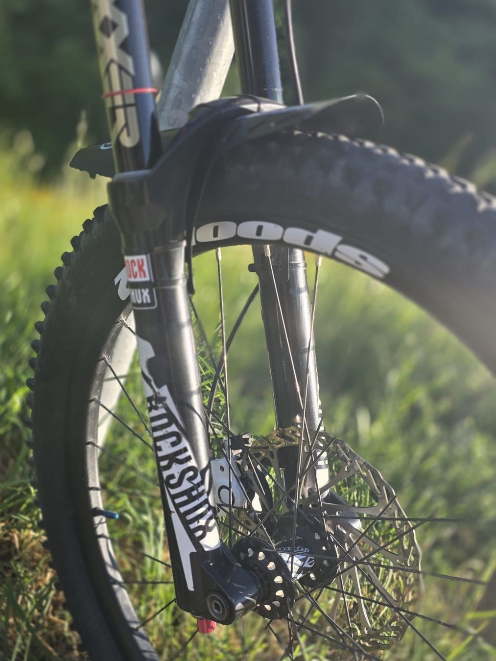 Giant Biciclette: Giant Reigen Downhill – Usato da Wetzikon ZH venduto da Sina1998 5