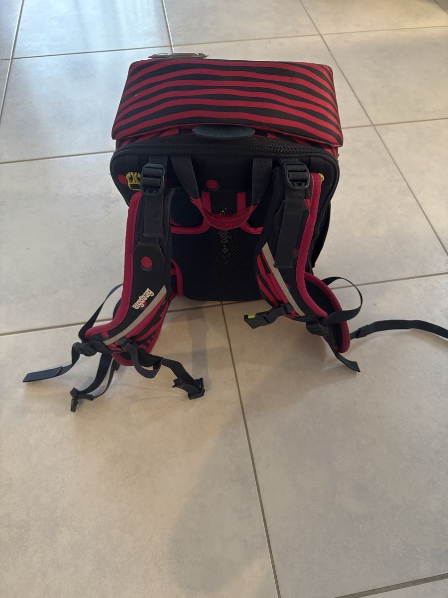 Ergobag Borse & Zaini: Ergobag Schulrucksack mit Punktemuster - Top Zustand! – Usato da Rothenthurm venduto da Elliott05 2