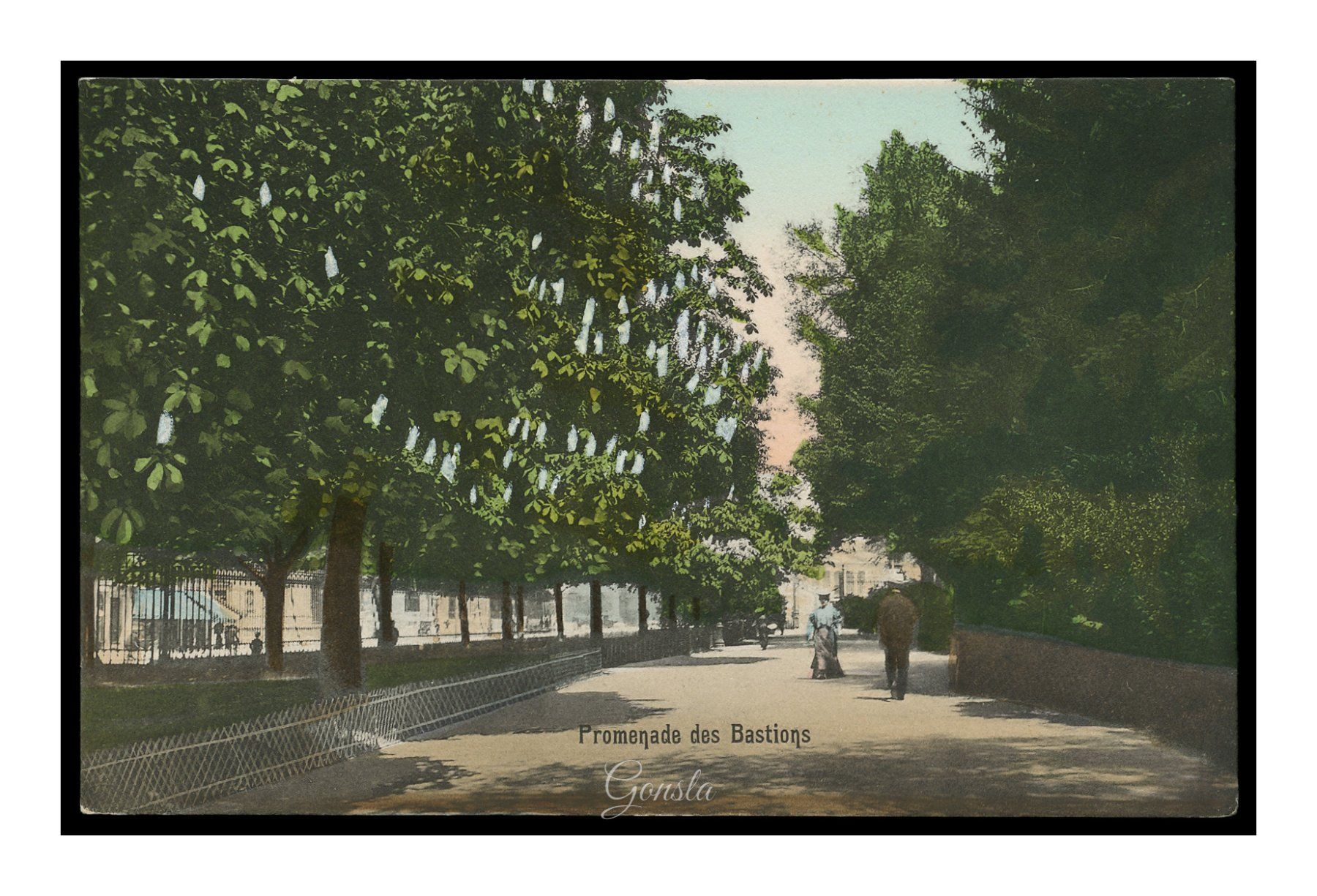 Cartoline postali: GENÈVE - 1907 "Promenade des Bastions" – Usato da Onex venduto da gonsla01