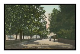 GENÈVE - 1907 "Promenade des Bastions"