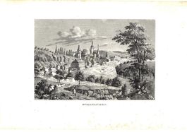 Schaffhausen Original-Kupferstich 1836