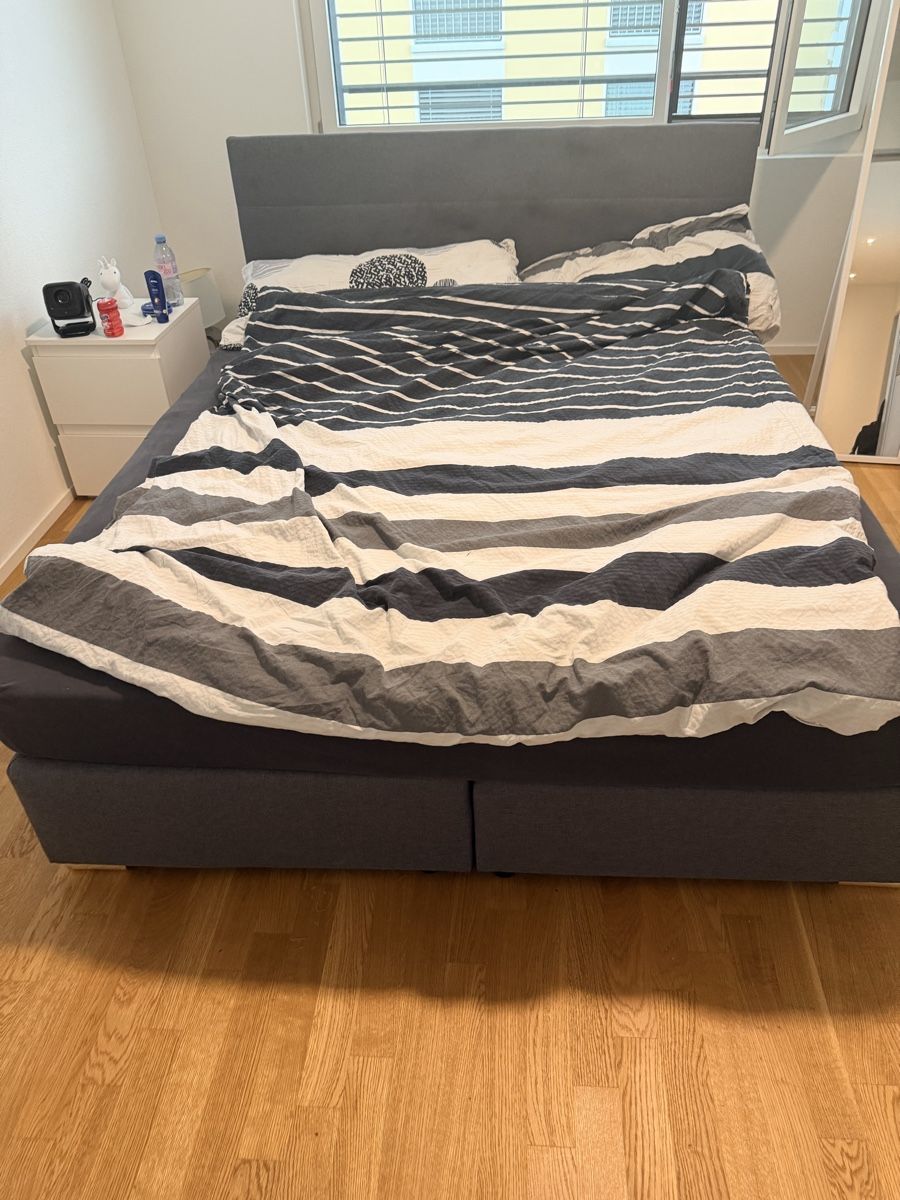 Letti: Boxspringbett grau mit Bettkasten 160x200cm – Usato da Ittigen venduto da Mjs_327 2