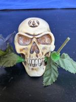 Tête de mort décorative Halloween ou collectionneur💀🎃!