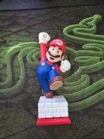 My Nintendo Sammler Figuren