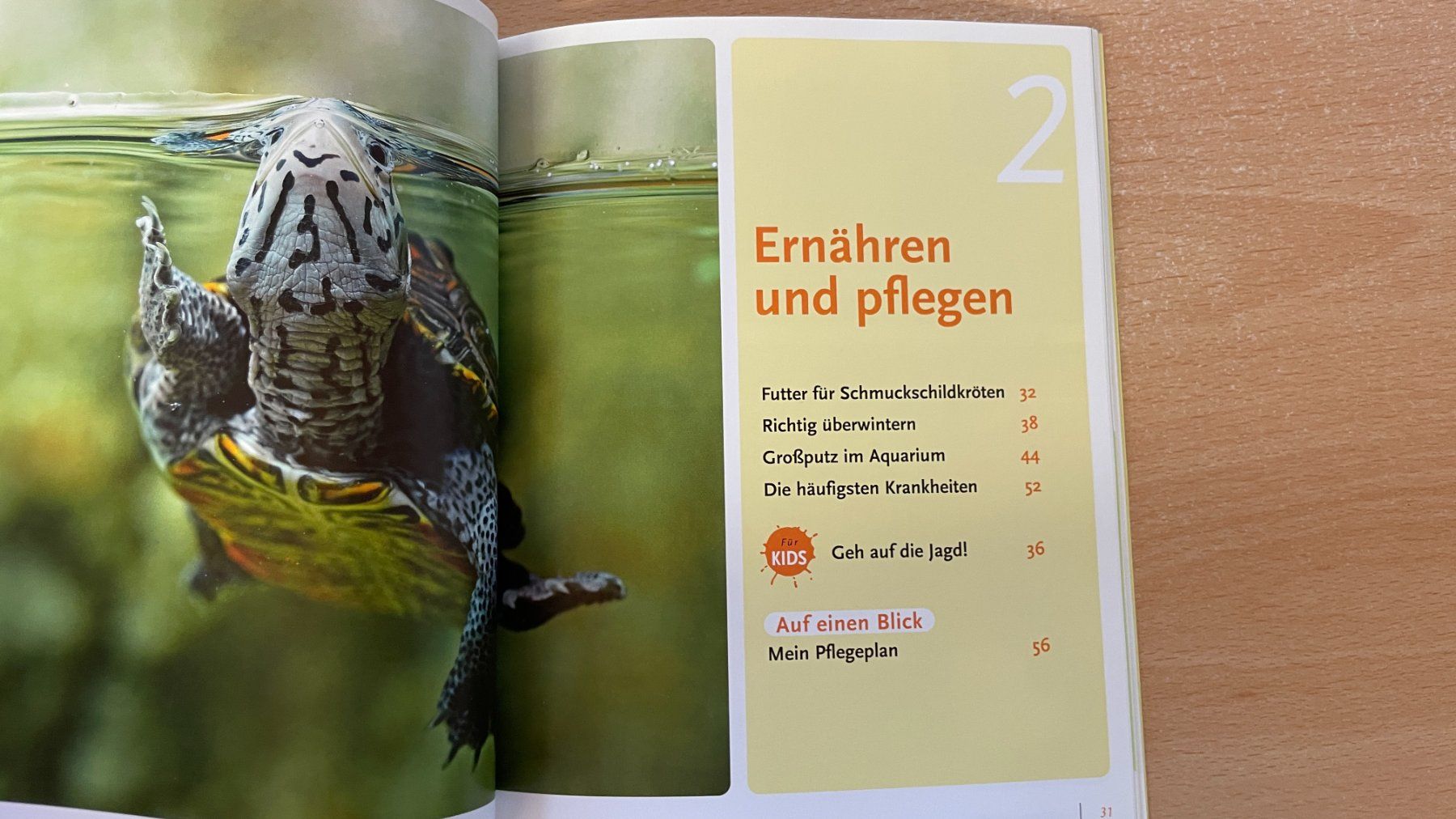 Libri: Schmuckschildkröten – Usato da Glattfelden venduto da flomiking 8
