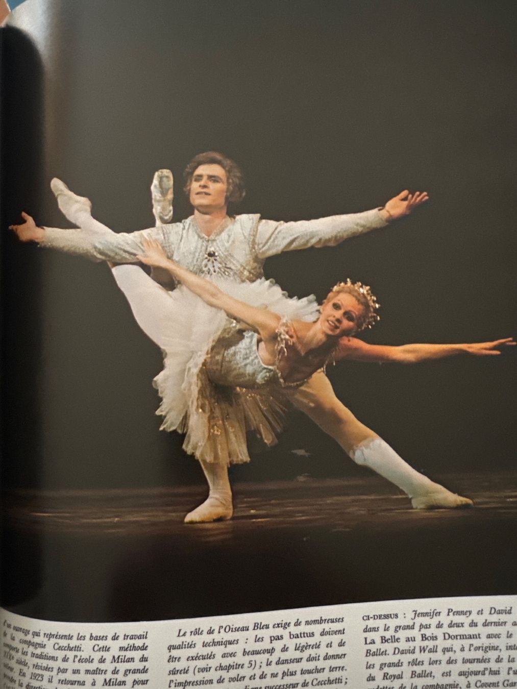 Libri: Livre la passion de la danse – Usato da moudon venduto da jaunejaunelapinjaune 2