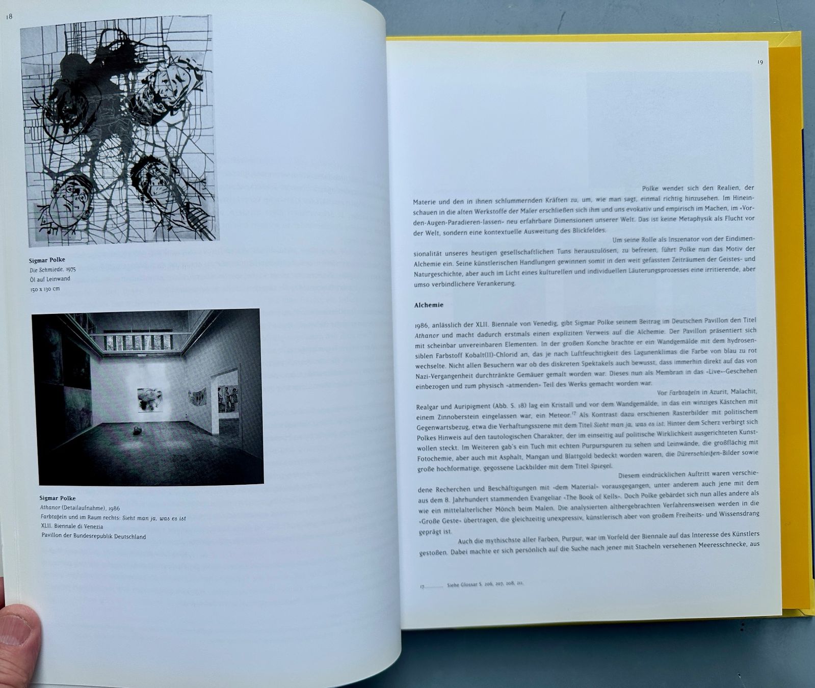 Libri: Bice Curiger: Sigmar Polke. Werke & Tage. – Usato da Zürich venduto da allp 5