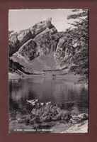 SEEALPSEE - Rossmad - 1955