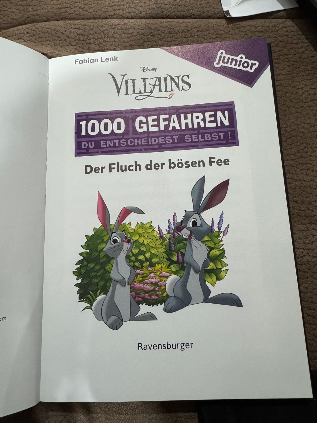 Libri: Fabian Lenk -  Der Fluch der bösen Fee – Usato da Dietikon venduto da MuNathy 3