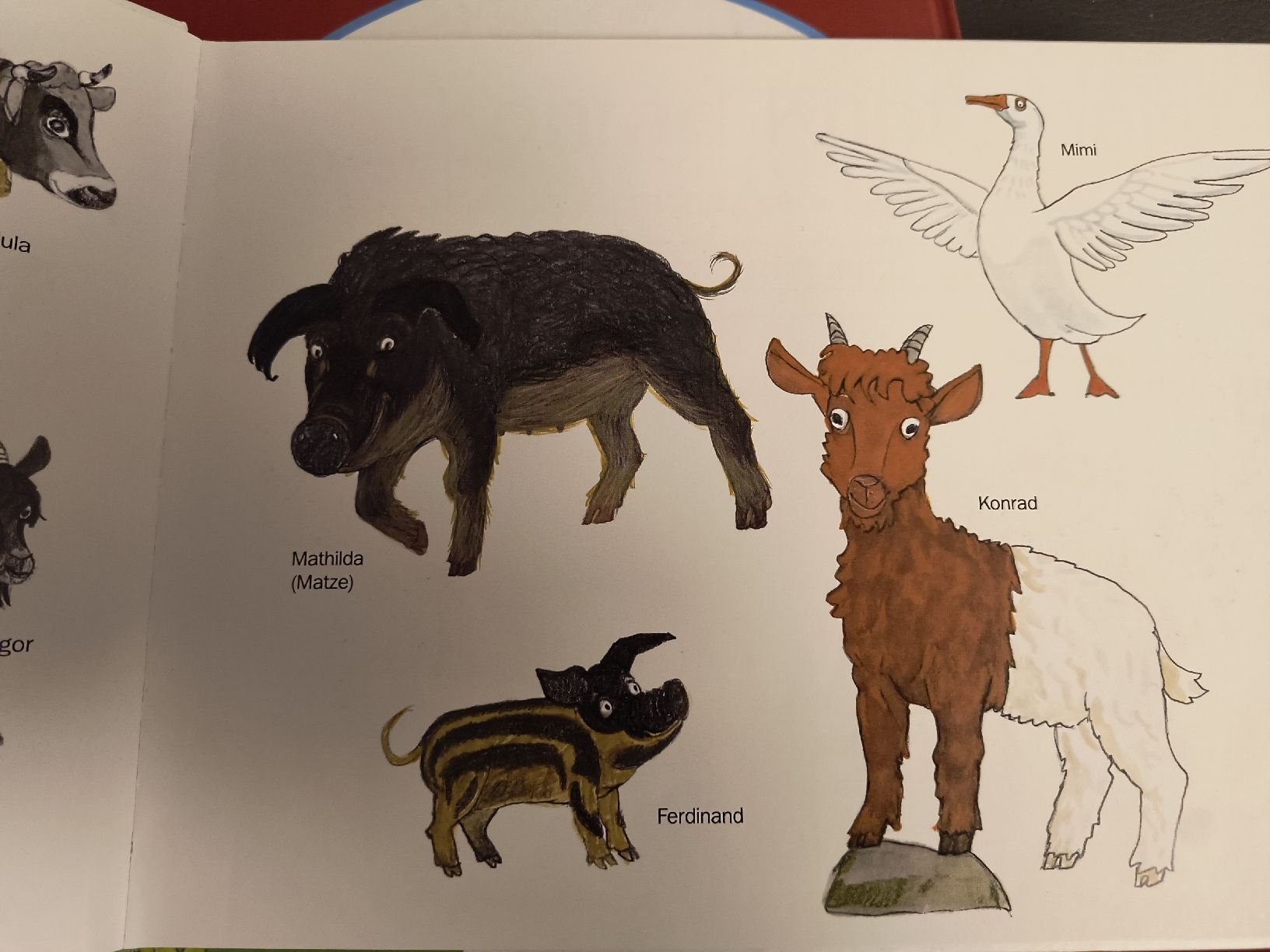 Libri: Kinderbuch Konrad Kupferhals – Usato da Oberweningen venduto da Bumblebee2 2