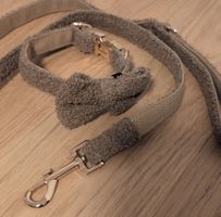 Hundeleine und Halsband mit abnehmbarer Fliege