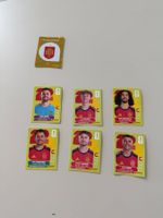 PANINI ESP 7 Sticker