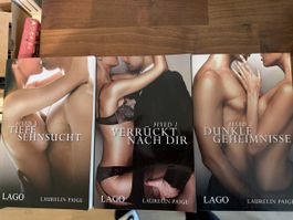 3 Bücher von Laurelin Paige, Reihe Fixed