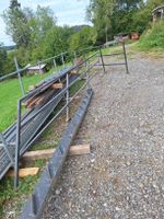 Treppenwangen Stahl inkl Treppenstufen Set gebraucht