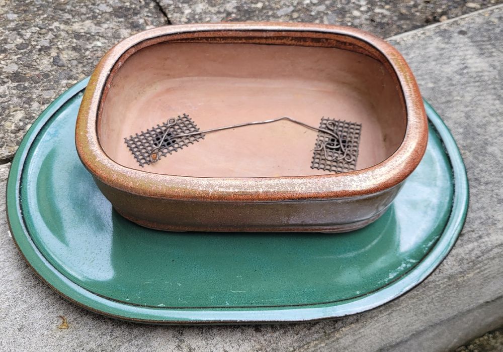 Bonsai Schale mit Unterteller Kaufen auf Ricardo