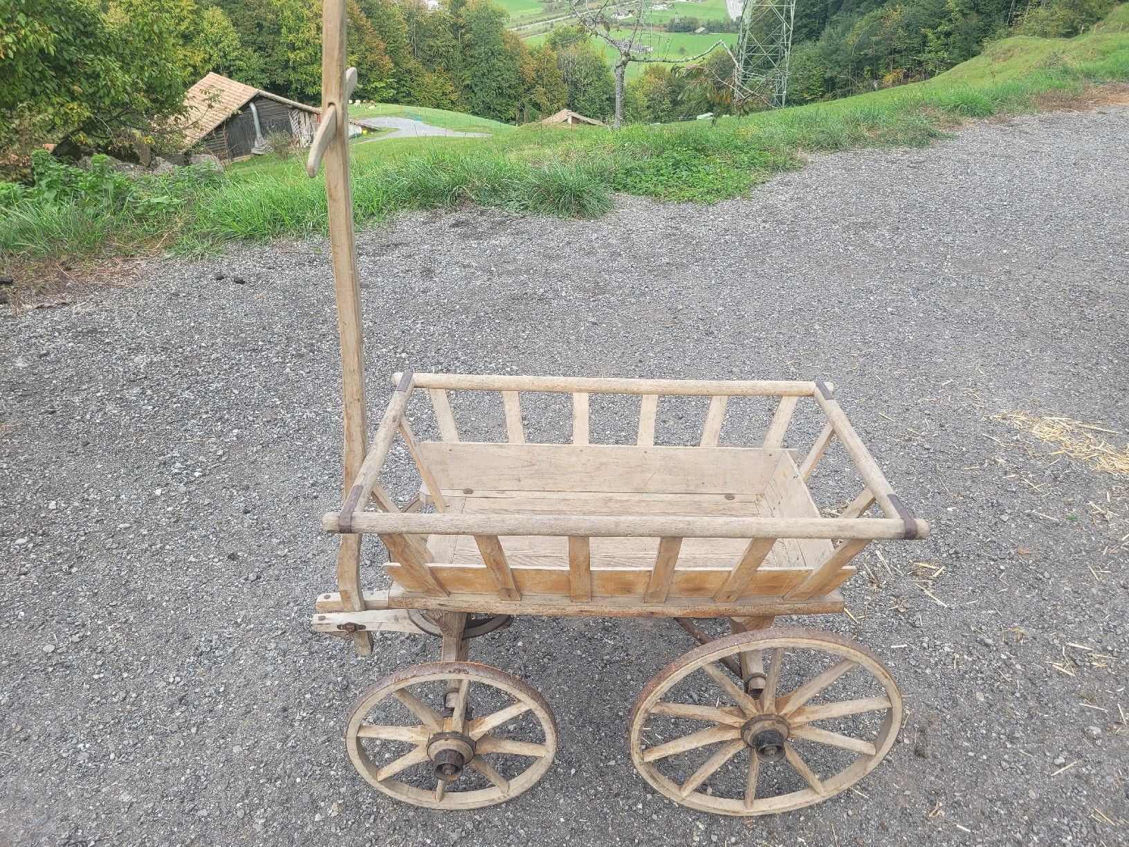 Tutte le decorazioni: Alter  Leiterwagen – Usato da Brienz BE venduto da Hundechef 1