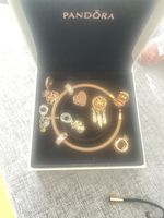 Pandora Armband Roségold mit verschiedenen Charms 