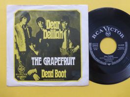 The Grapefruit – Dear Delilah