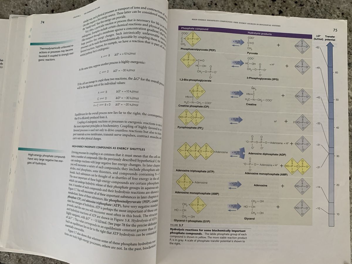 Livres: Biochemistry Textbook 3rd Edition By Mathews, Van Holde – D'occasion à Genève par sunsustains 5