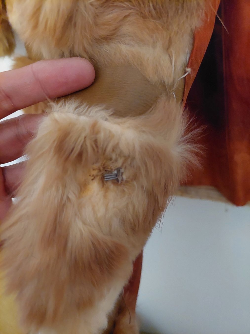 Mäntel: Manteau en fourrure - Gr. 36 – Gebraucht aus Courtelary von Chauvesouris 3