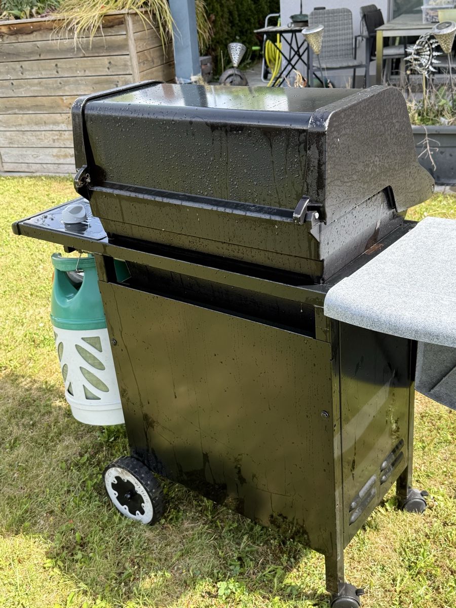 Griglie: Weber Grill – Usato da Gachnang venduto da redalf 2