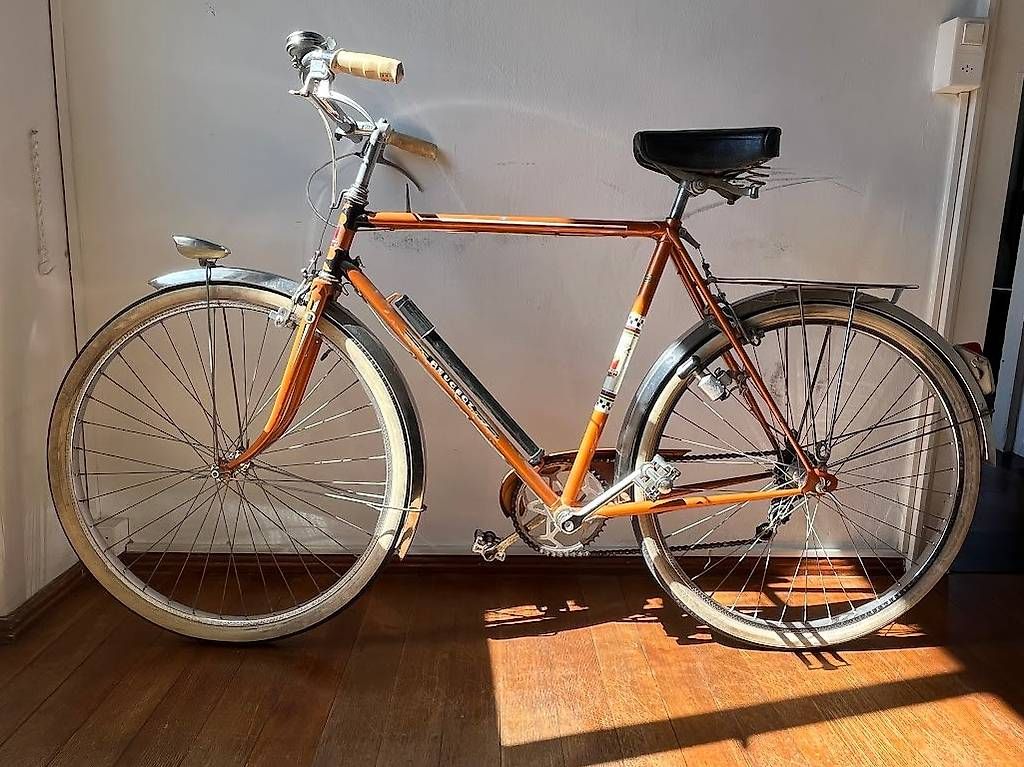 Biciclette: Vélo Peugeot – Usato da Locarno venduto da batbaloo 1