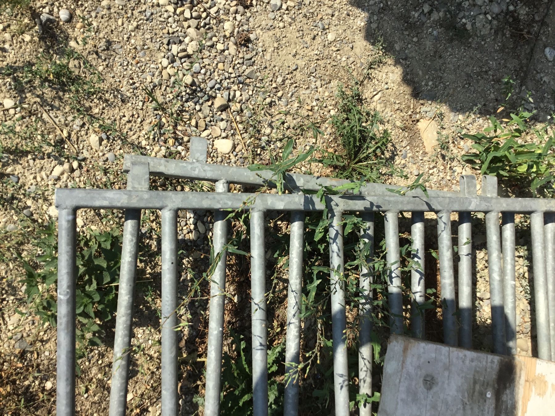 Altro: Panel,Abtrennung – Usato da Ottoberg venduto da schenk01 2