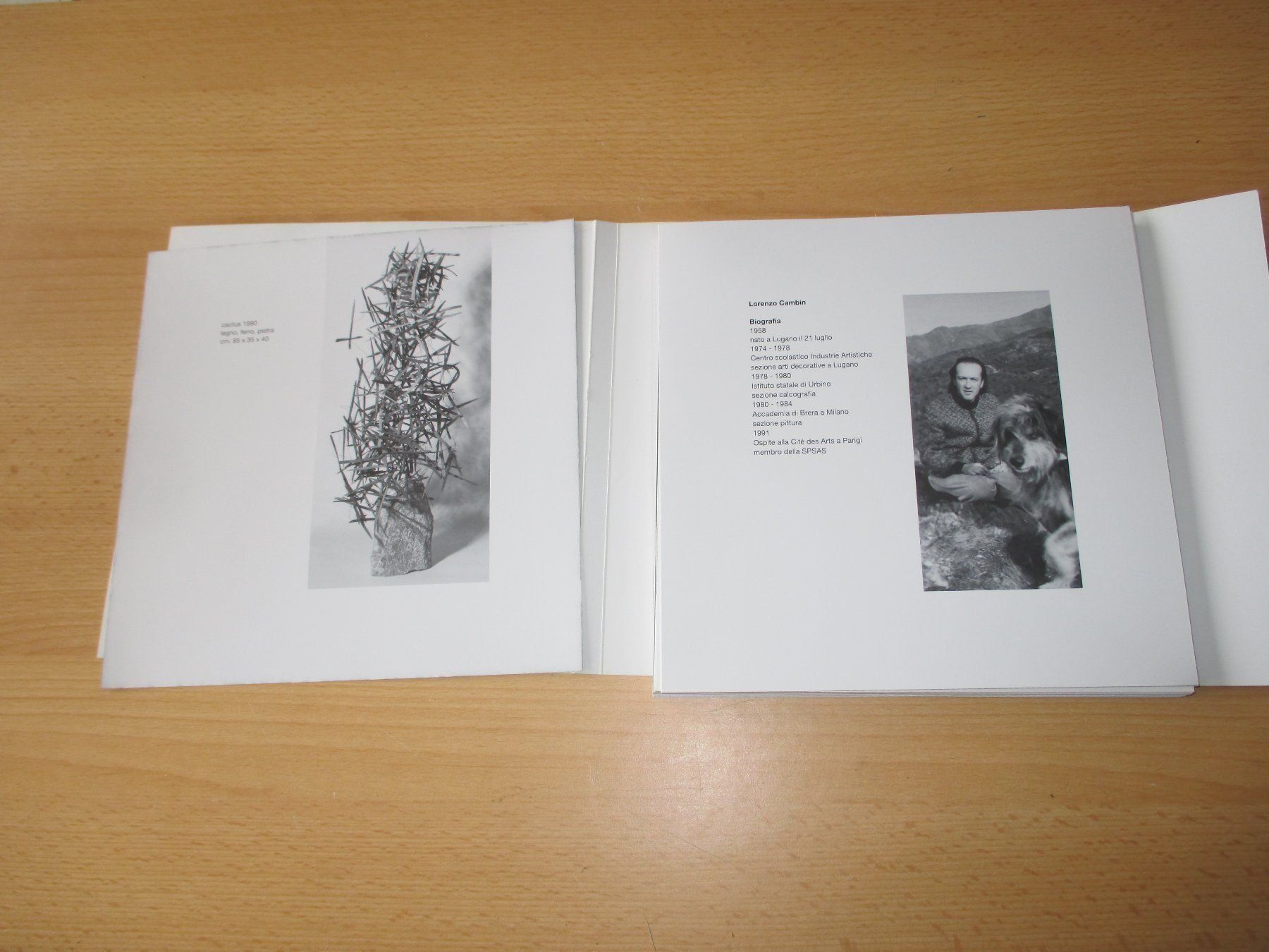 Libri: Kunstmappe Lorenzo Cambin spazi – Usato da Flims - Dorf venduto da Stagediver 2