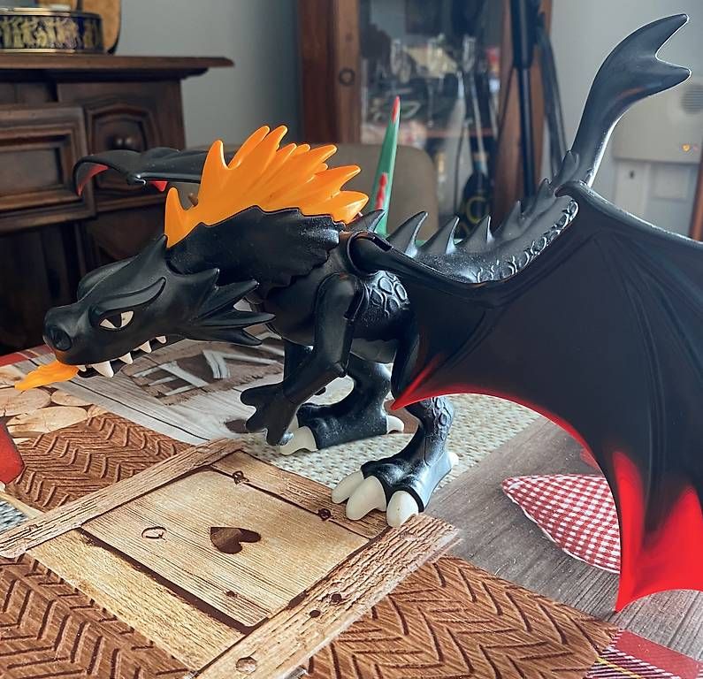 Playmobil Giocattoli: 2 draghi della Playmobil – Usato da Castel San Pietro venduto da sab_lj2d 3